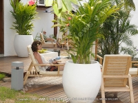 le_recif_hotel_mauritius_lady_realxing_in_sunbed_at_the_patio.jpg