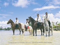 maritim_hotel_horse_riding_activities_on_the_beach.jpg
