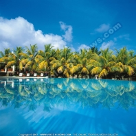 4_star_hotel_paradise_cove_hotel_pool.jpg