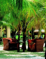 4_star_hotel_paradise_cove_hotel_seats_in_the_garden.jpg