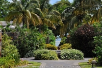 maradiva_villas_resort_and_spa_hotel_mauritius_pathway.jpg
