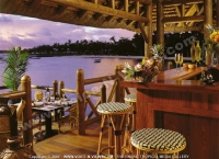 5_star_hotel_one_and_only_le_saint_geran_hotel_bar_view.jpg