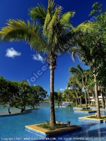 the_grand_mauritian_a_luxury_collection_resort_and_spa_mauritius_pool_area.jpg