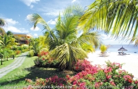 le_victoria_hotel_mauritius_garden_view.jpg
