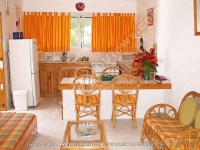 guest_house_tropicana_mauritius_kitchen_view.jpg