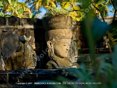 general view of the outdoor decor premium villa pereybere mauritius ref 16
