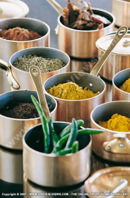 royal palm hotel mauritius spices

