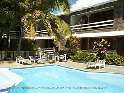 superior_apartment_mont_choisy_mauritius_ref_111_swimming_pool_view.jpg