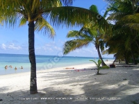 general_view_of_the_beach_of_palmiste_resort_and_spa.jpg
