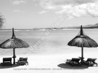 5_star_hotel_shanti_maurice_beach_parasols.jpg