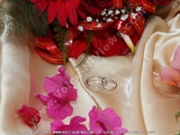 wedding_and_honeymoon_in_mauritius_shanon_and_nicolas_rings.jpg
